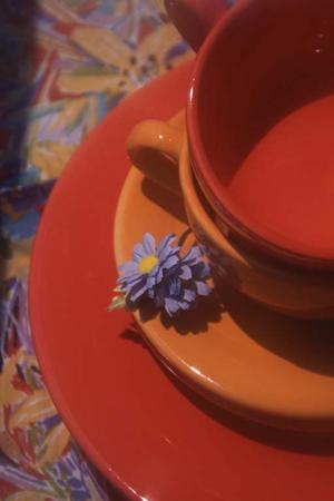 ニュウマン新宿の魅力と店舗情報ガイド：最新のショッピング＆カルチャースポット